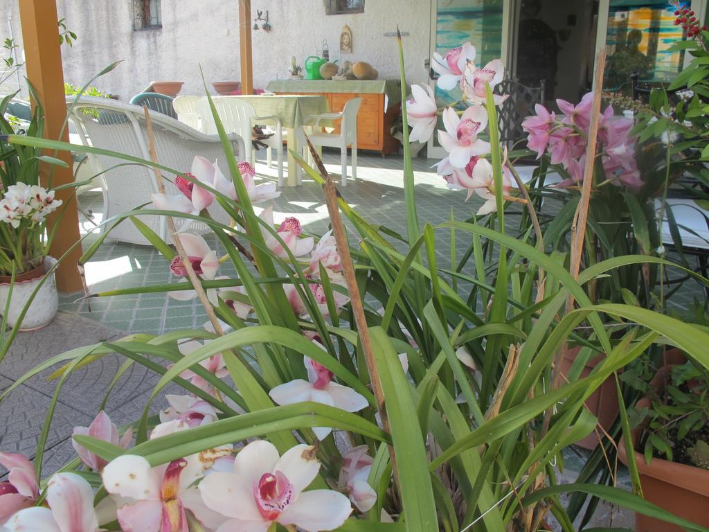 Aparthotel Marinu Forio (Isola d'Ischia)
