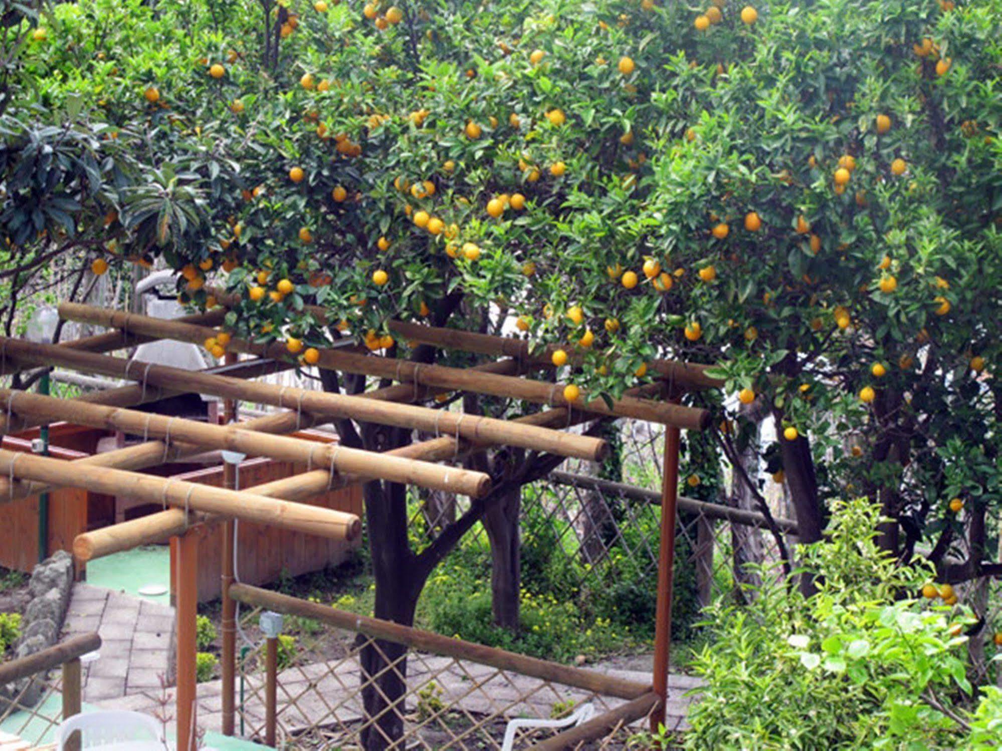 Marinu Aparthotel